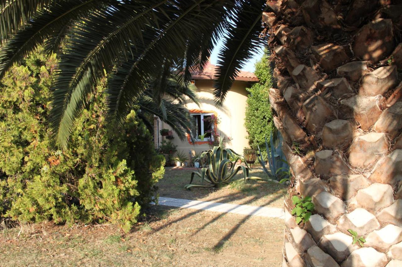 Country-House Pecora Nera Guest House Mosciano SantʼAngelo Екстериор снимка