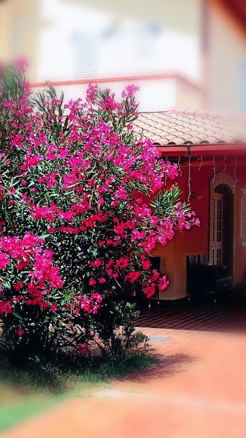 Country-House Pecora Nera Guest House Mosciano SantʼAngelo Екстериор снимка
