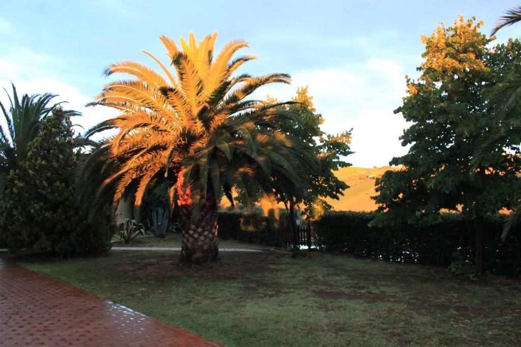Country-House Pecora Nera Guest House Mosciano SantʼAngelo Екстериор снимка